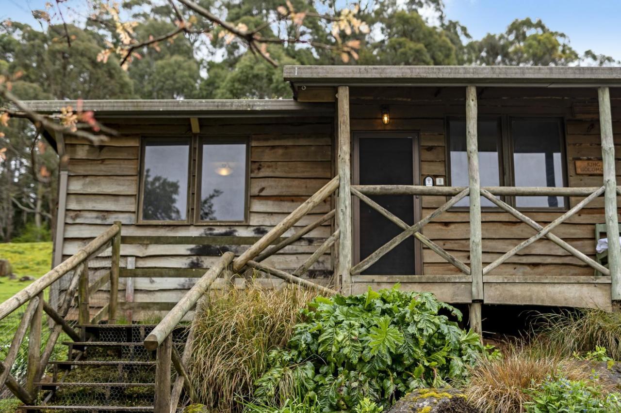 Mole Creek Cabins المظهر الخارجي الصورة