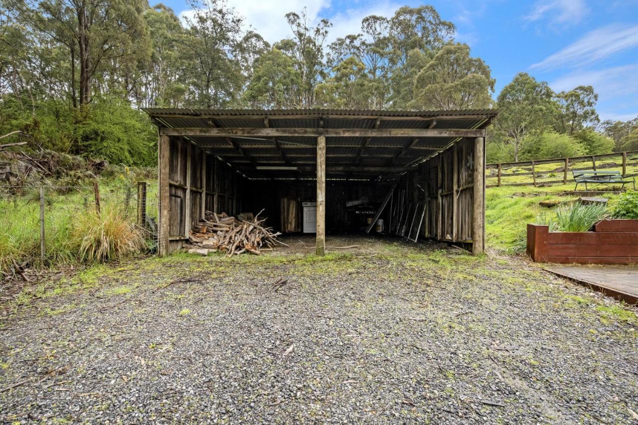 Mole Creek Cabins المظهر الخارجي الصورة