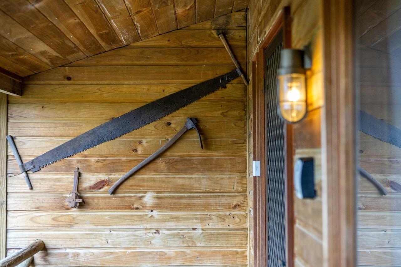 Mole Creek Cabins المظهر الخارجي الصورة