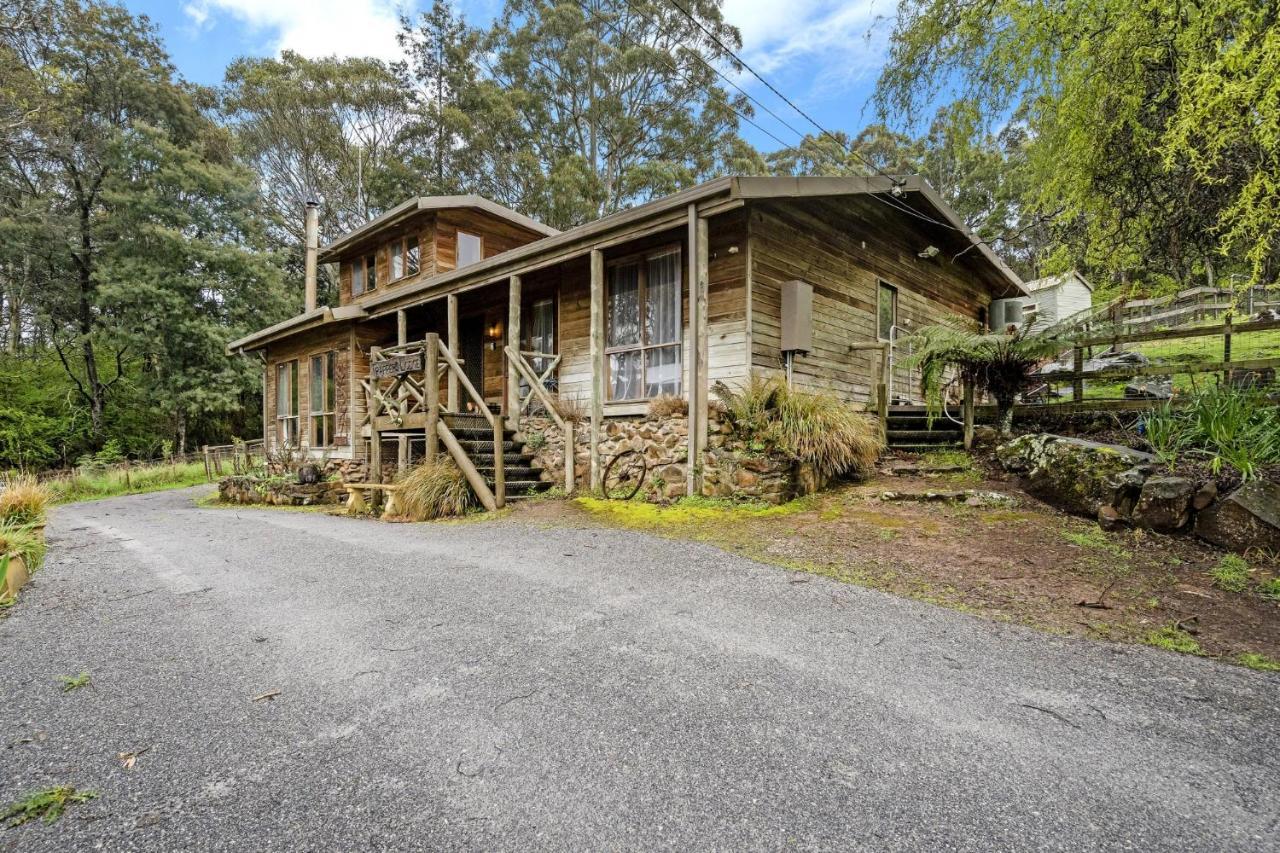 Mole Creek Cabins المظهر الخارجي الصورة