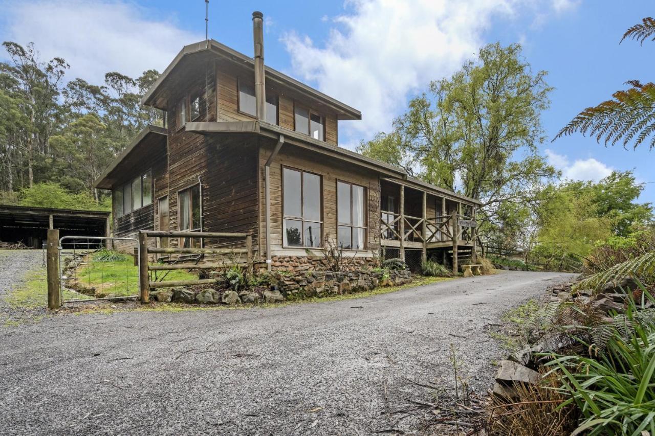 Mole Creek Cabins المظهر الخارجي الصورة
