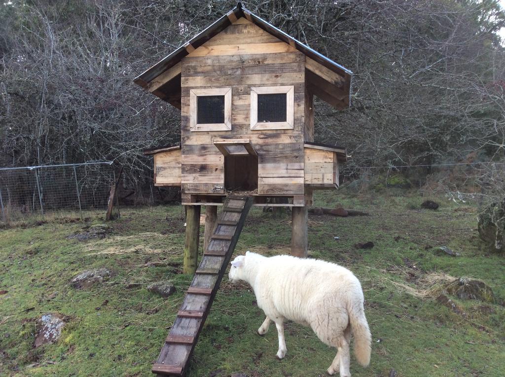 Mole Creek Cabins المظهر الخارجي الصورة